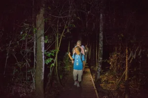 Jungle-Night-Walk.jpg