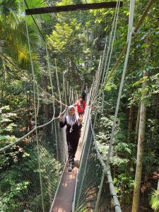 canopy-walk-way