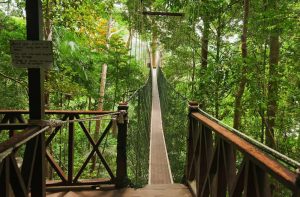 ccimage-shutterstock_183658235-1