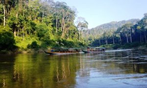 taman-negaraboat-500x300