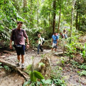 Activity - Inner Jungle 2D1N (Joined Trip)