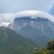view 12
